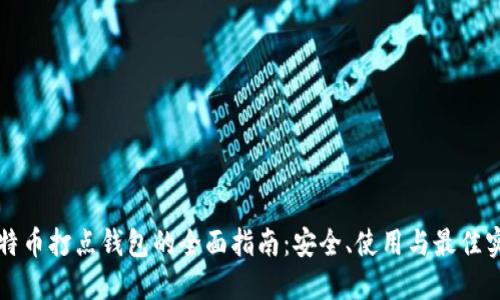 比特币打点钱包的全面指南：安全、使用与最佳实践