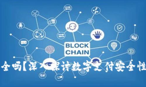 虚拟钱包安全吗？深入探讨数字支付安全性与防护措施