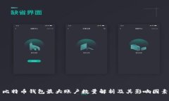 比特币钱包最大账户数量