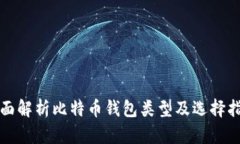 全面解析比特币钱包类型