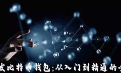 Java开发比特币钱包：从入