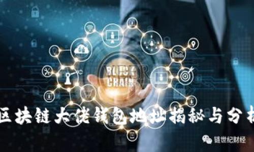 区块链大佬钱包地址揭秘与分析