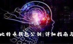 如何安全查看比特币钱包