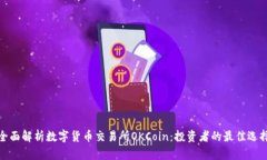 全面解析数字货币交易所