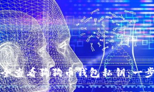如何安全查看狗狗币钱包私钥：一步步指南