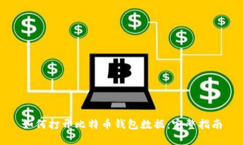 如何打开比特币钱包数据：完整指南