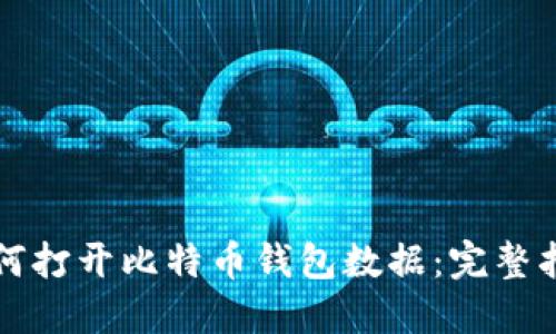 如何打开比特币钱包数据：完整指南