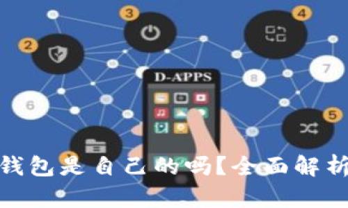 : 虚拟币平台钱包是自己的吗？全面解析数字资产安全