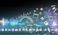 全面解析加密数字钱包操