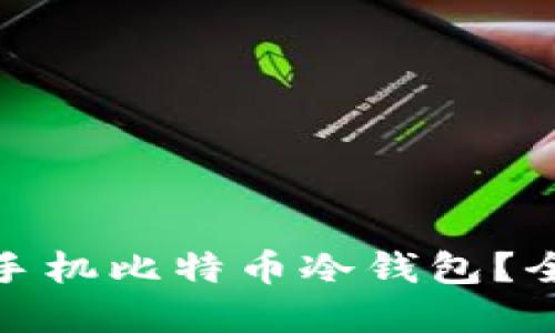 如何选择适合你的手机比特币冷钱包？全面指南与实用建议
