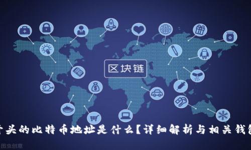 BC1开头的比特币地址是什么？详细解析与相关钱包推荐