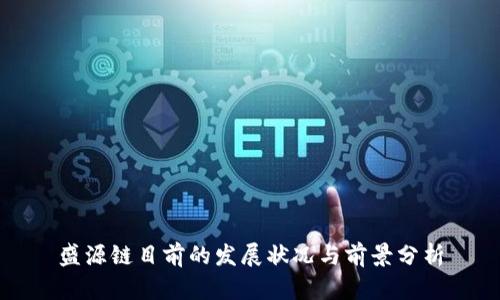 盛源链目前的发展状况与前景分析