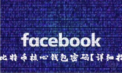 如何找回比特币核心钱包密码？详细指南与技巧