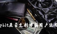 Upbit是否支持中国用户使用