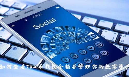 如何查看TRX币钱包余额并管理你的数字资产