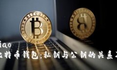 bibiao/bibiao全面解析比特币