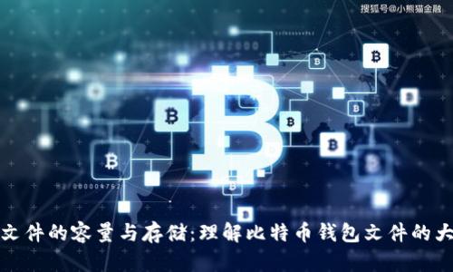 比特币钱包文件的容量与存储：理解比特币钱包文件的大小及其影响