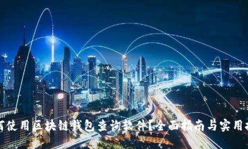 如何使用区块链钱包查询软件？全面指南与实用技巧