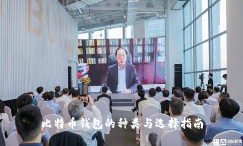 比特币钱包的种类与选择指南