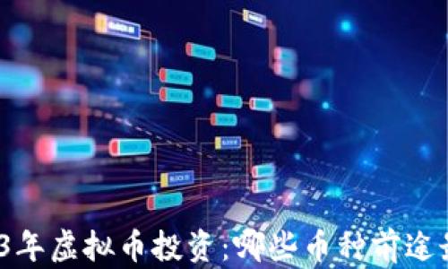 
2023年虚拟币投资：哪些币种前途最佳？
