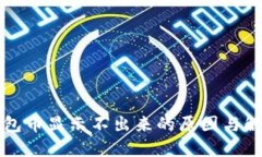 虚拟钱包币显示不出来的