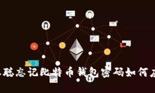 中本聪忘记比特币钱包密码如何应对？
