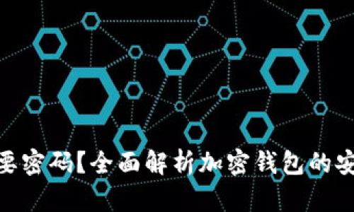 加密钱包是否需要密码？全面解析加密钱包的安全性与使用体验
