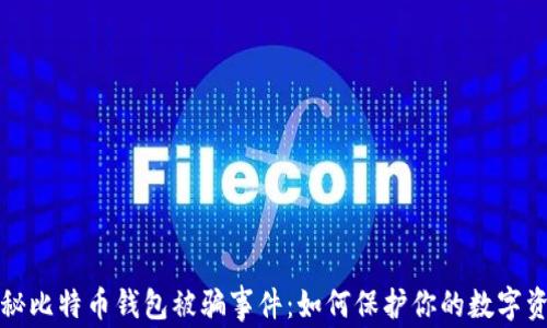 
揭秘比特币钱包被骗事件：如何保护你的数字资产