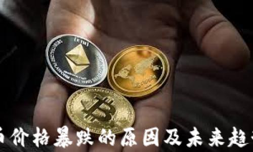 
虚拟币价格暴跌的原因及未来趋势分析