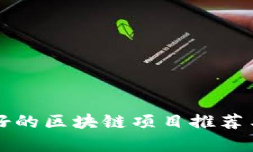 比较好的区块链项目推荐与分析