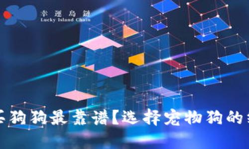 从哪里买狗狗最靠谱？选择宠物狗的终极指南