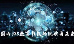 国内iOS数字钱包的现状与