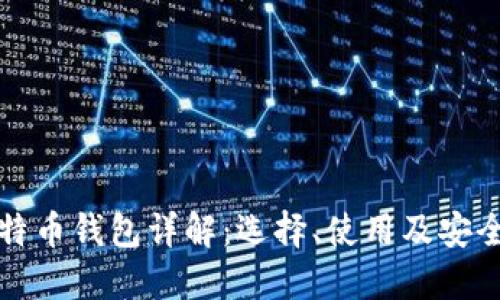 比特币钱包详解：选择、使用及安全性