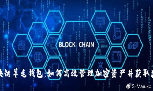 区块链羊毛钱包：如何高效管理加密资产并获取奖励