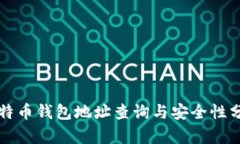 比特币钱包地址查询与安