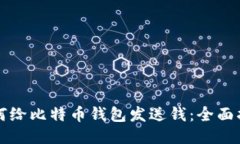 如何给比特币钱包发送钱：全面指南