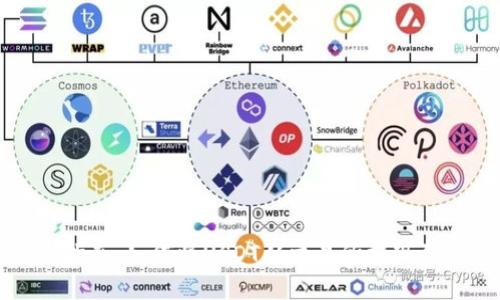 详细指南：如何将USDT从交易所提现到钱包