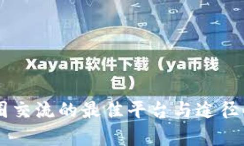 币圈交流的最佳平台与途径解析
