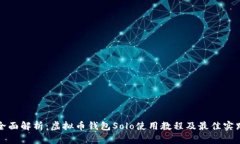 全面解析：虚拟币钱包Solo使用教程及最佳实践
