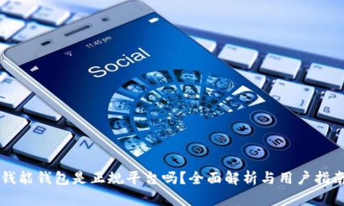 钱能钱包是正规平台吗？全面解析与用户指南