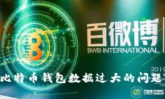 如何解决比特币钱包数据