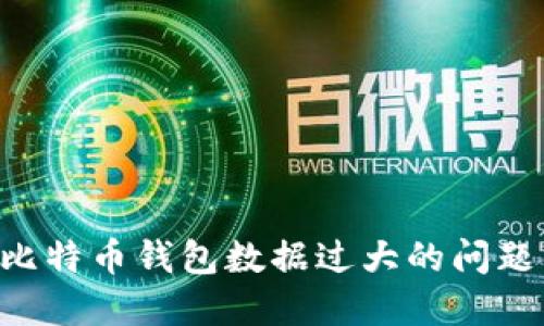 如何解决比特币钱包数据过大的问题：完整指南