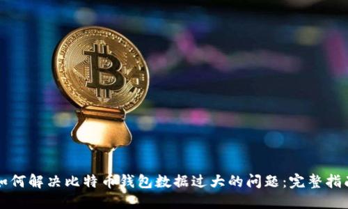 如何解决比特币钱包数据过大的问题：完整指南