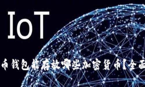 比特币钱包能存放哪些加密货币？全面解析
