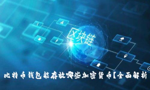 比特币钱包能存放哪些加密货币？全面解析