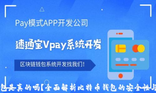 
比特币钱包是真的吗？全面解析比特币钱包的安全性与选择方法