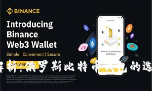 2023年全面解析：俄罗斯比特币钱包的选择与使用指南