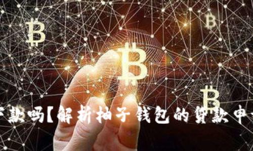 柚子钱包好下款吗？解析柚子钱包的贷款申请与审核流程