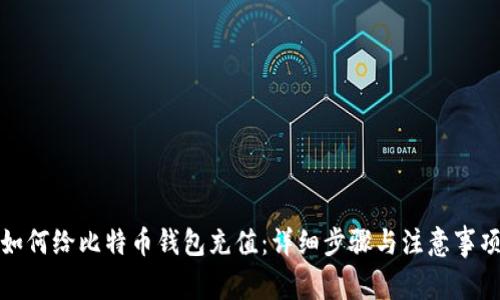 如何给比特币钱包充值：详细步骤与注意事项