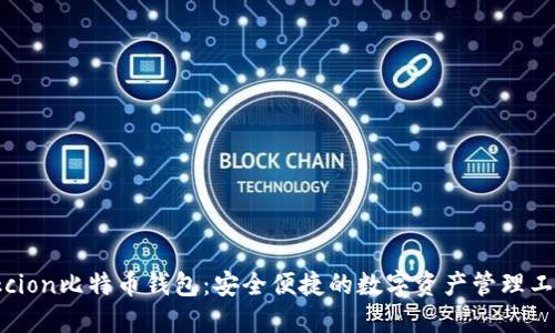okcion比特币钱包：安全便捷的数字资产管理工具